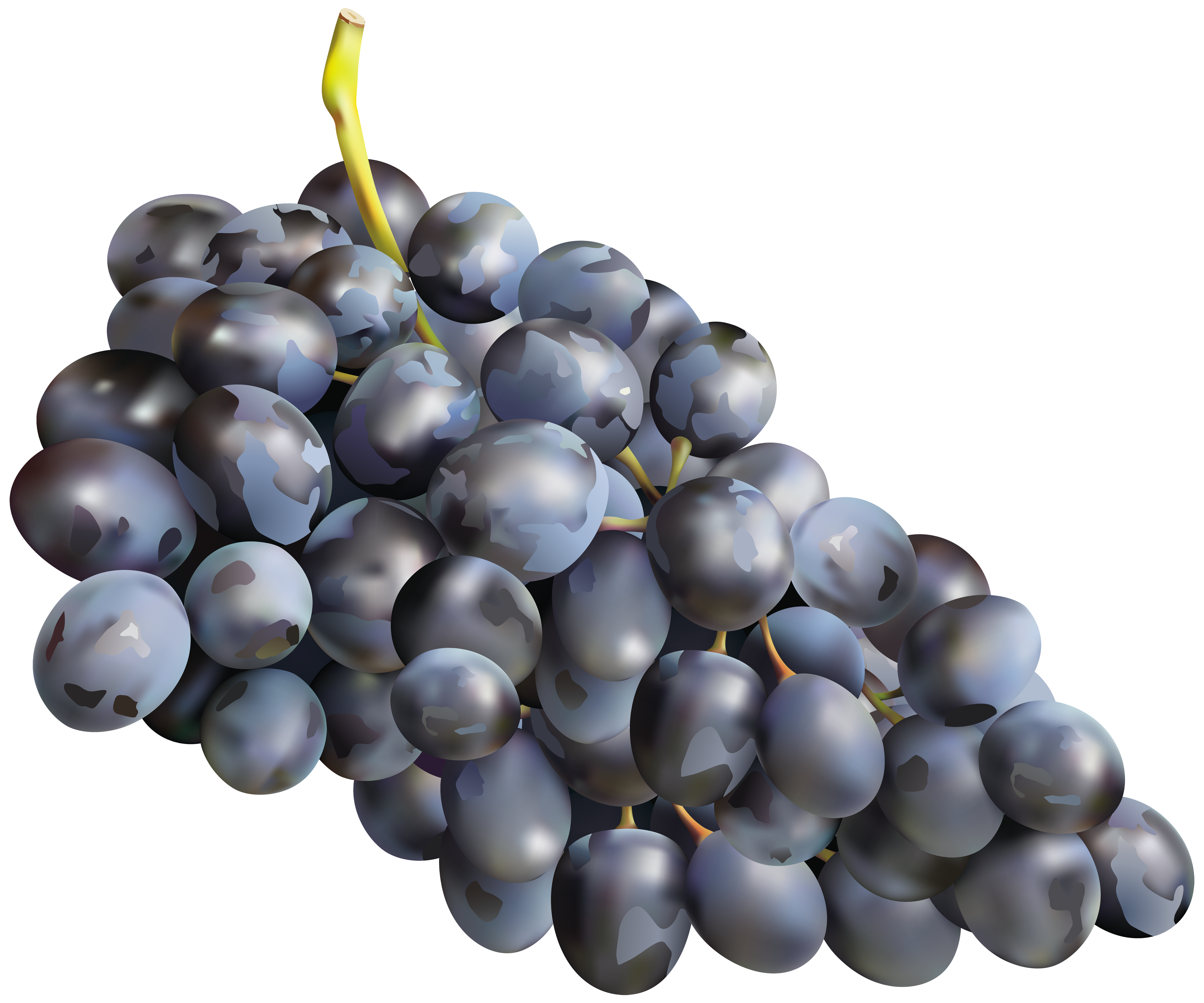 grape clipart seedless