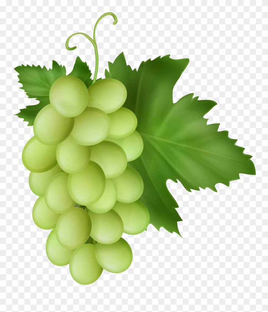 White transparent image fruit. Grapes clipart seedless