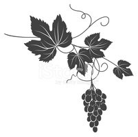 Grapevine clipart silhouette. Decorative grape vine stock