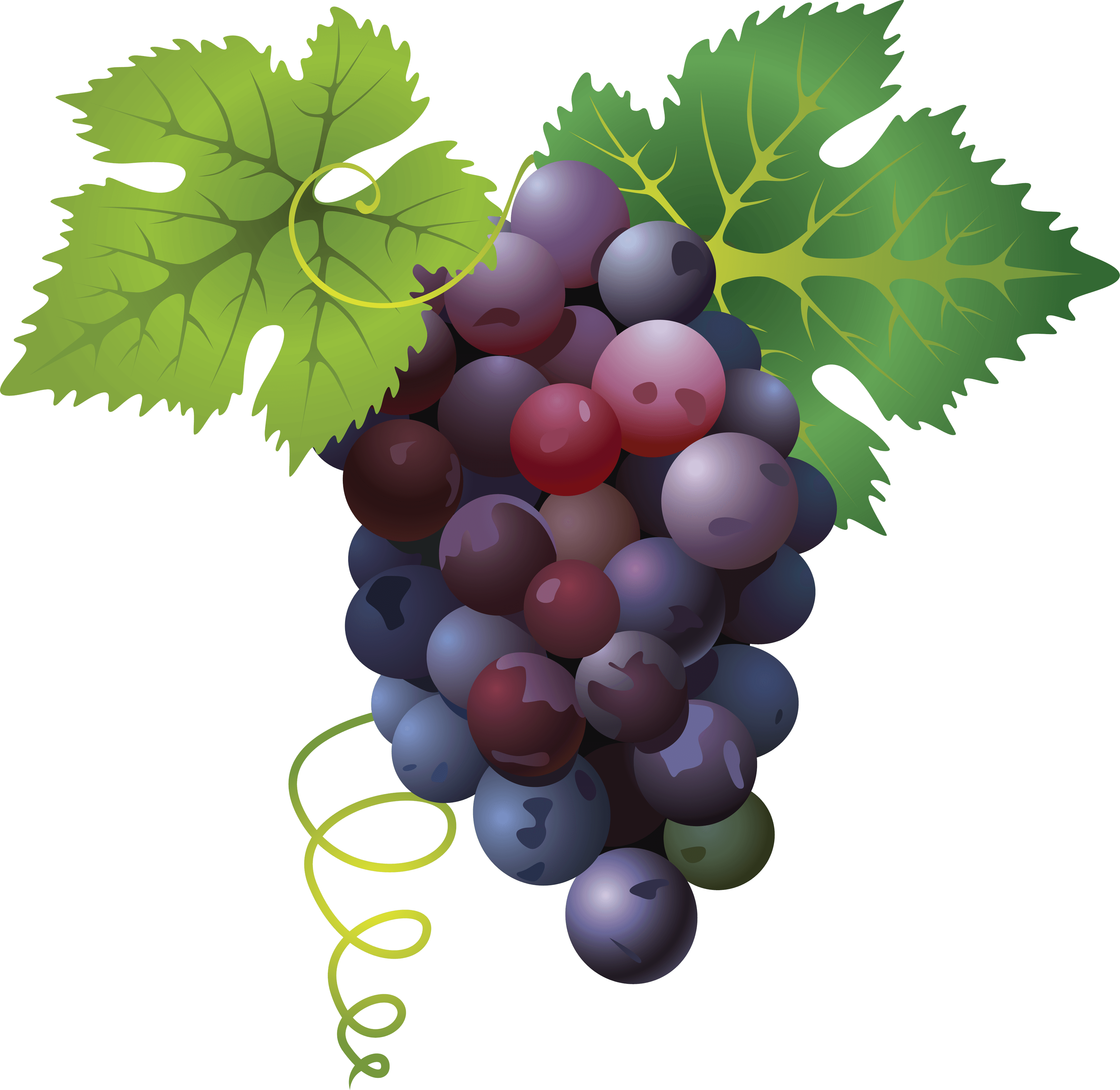 Grape sweet fruit