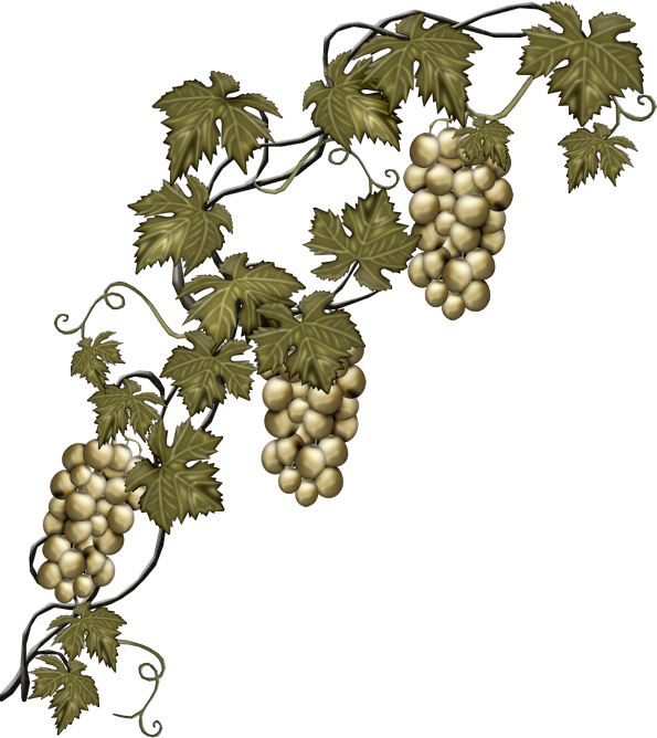 grape clipart template