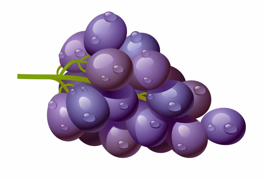 grapes clipart transparent background