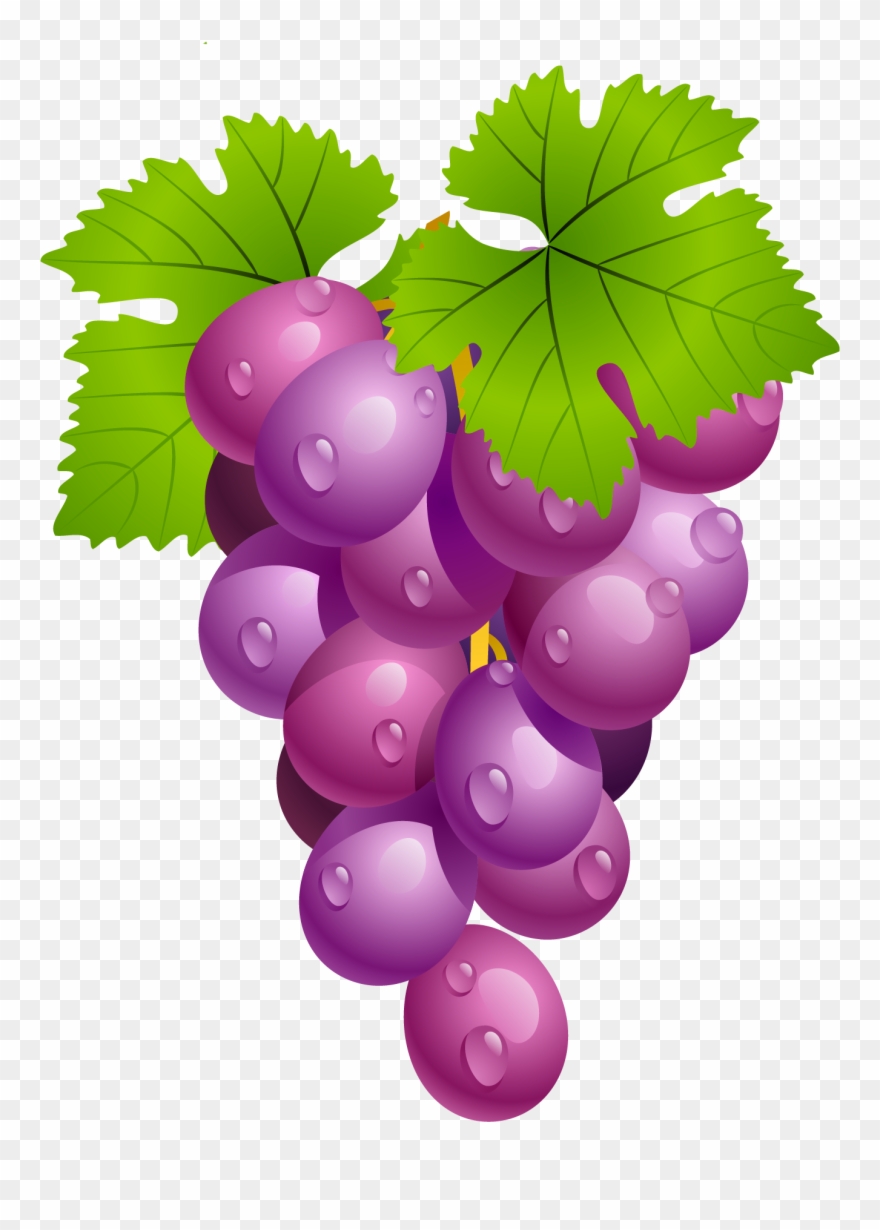 grape clipart transparent background