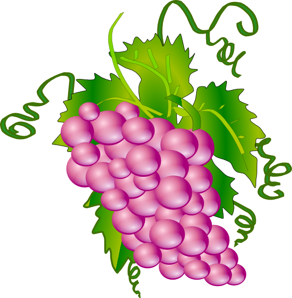 grapes clipart tribal