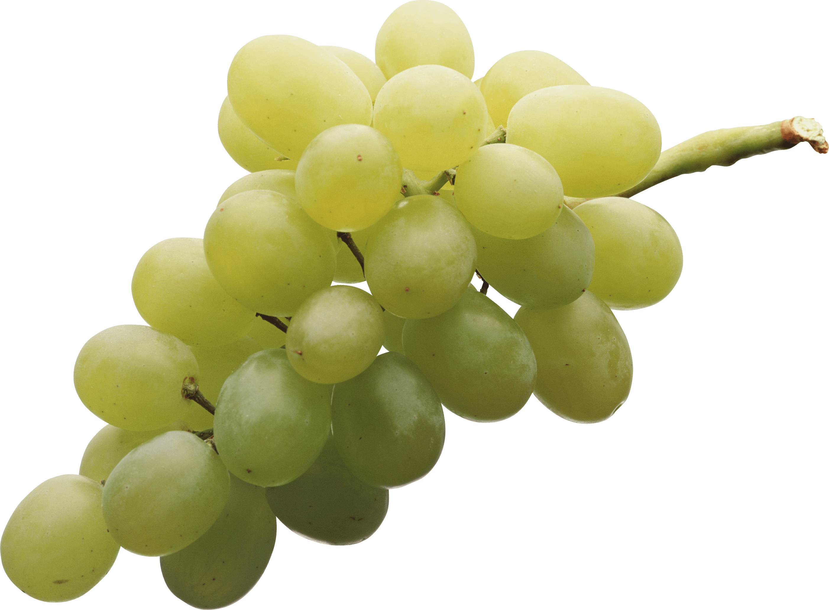 grapes clipart transparent background