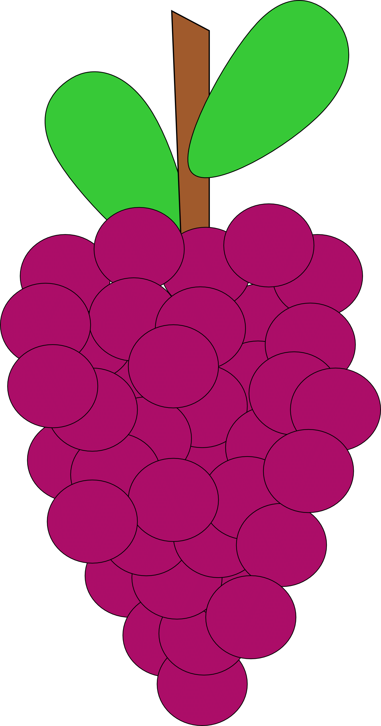 grape clipart vector