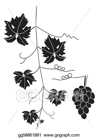 grapevine clipart grape cluster