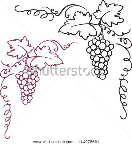 grapevine clipart berry vine