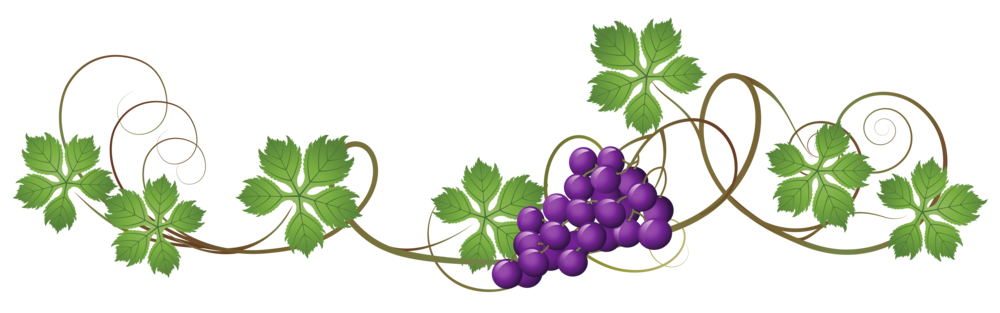 South africa s cape. Grape clipart vineyard grape