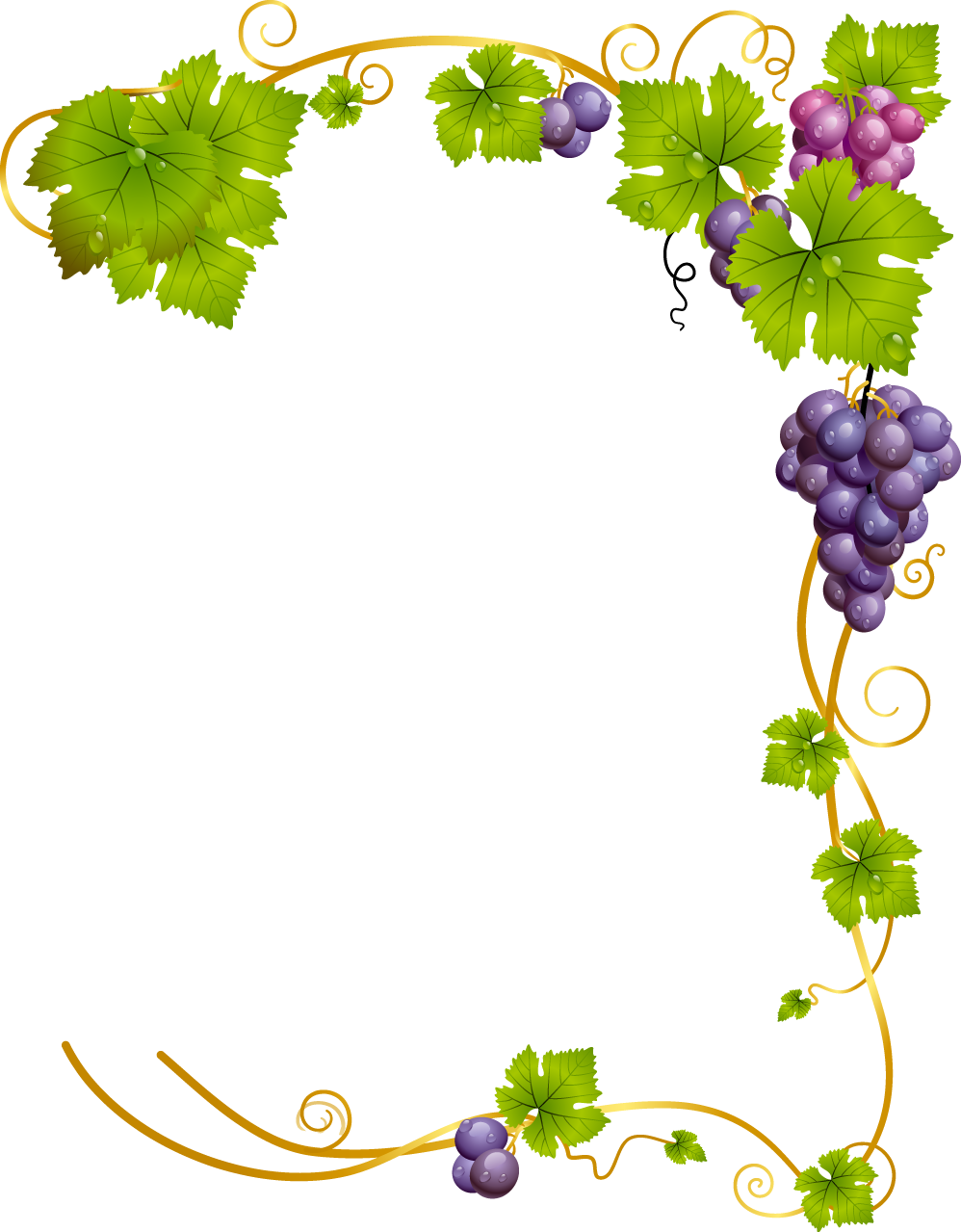 grape clipart watercolor