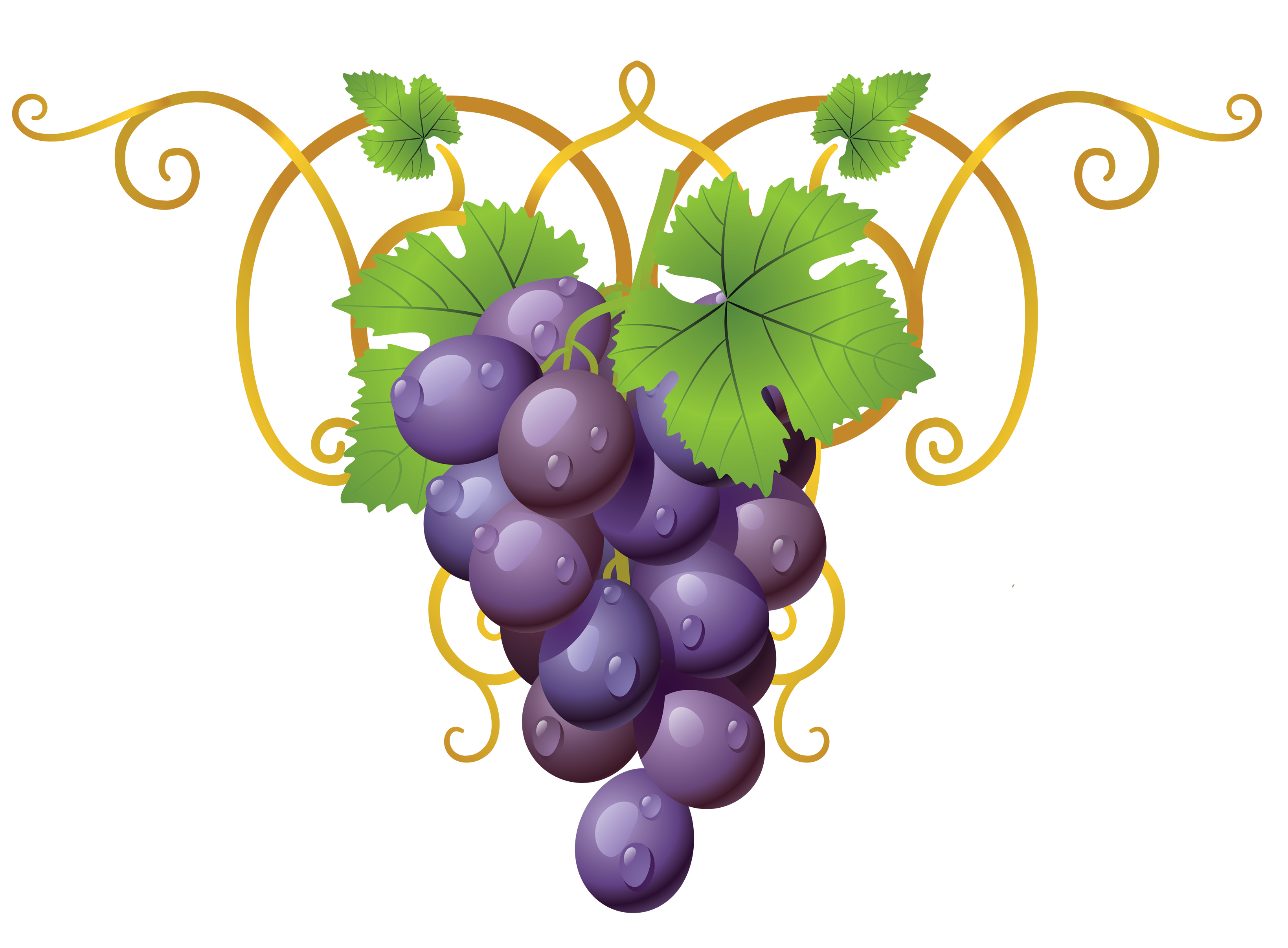 grape clipart wheat