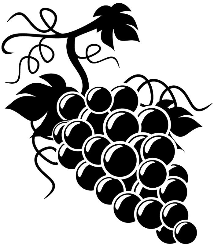 Google search grapes silhouette. Grape clipart wine grape