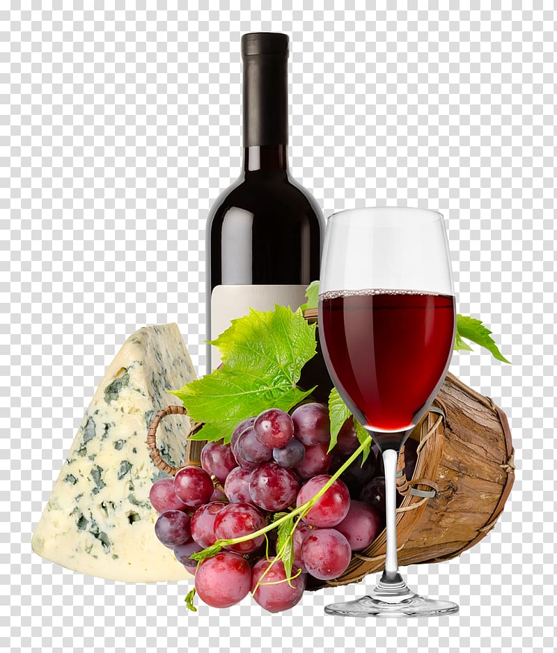 grapevine clipart wine tasting