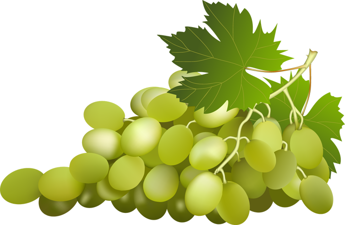 Grapes can protect against. Grape clipart winery