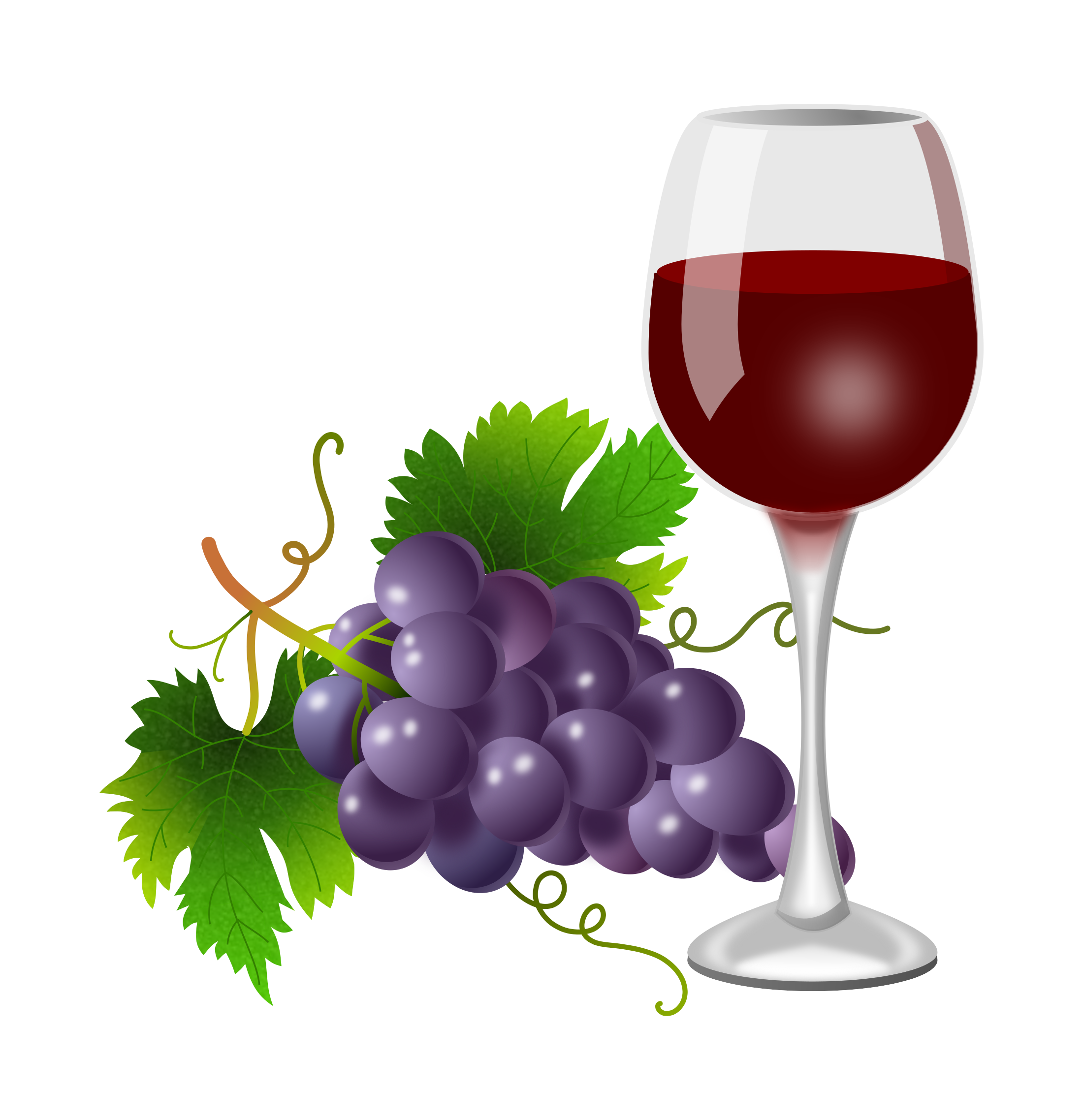 Grapes and wine free. Grape clipart winery