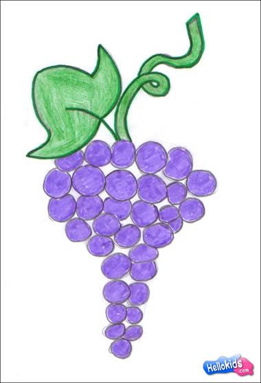 grapes clipart angoor