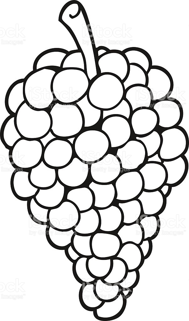 grapes clipart black and white