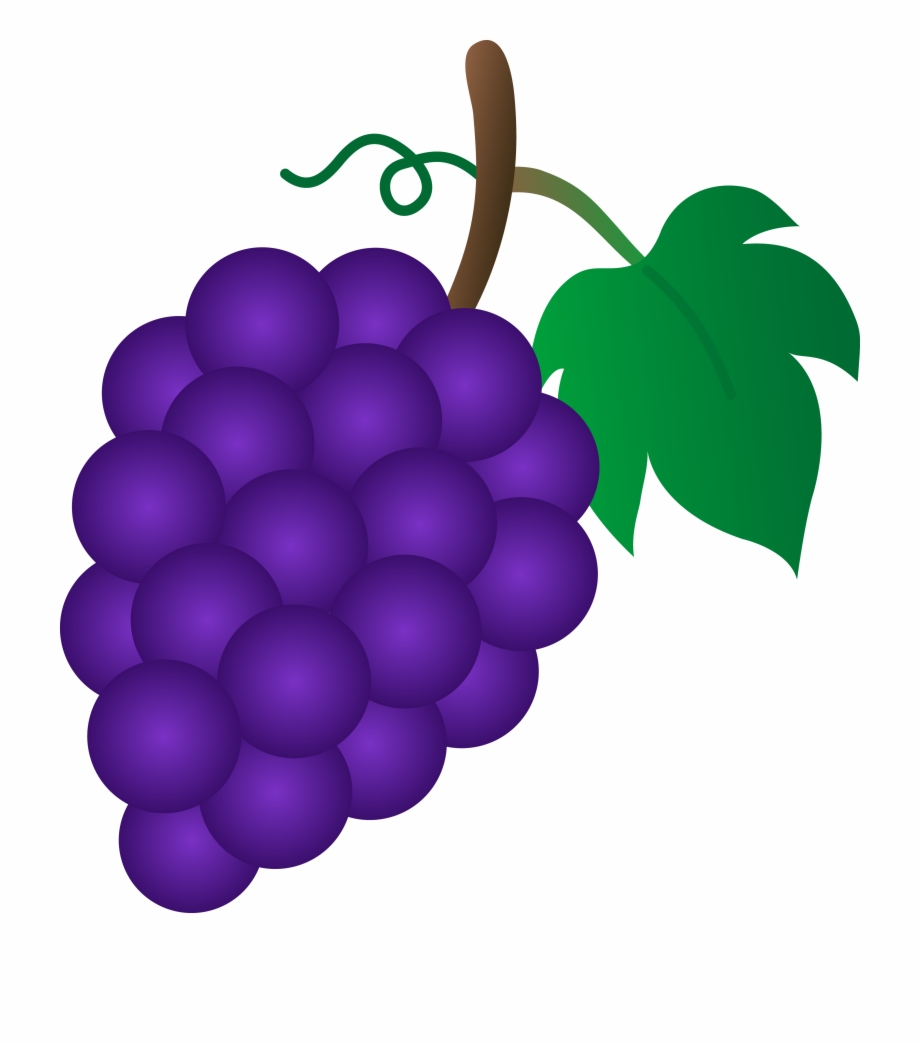 grapes clipart bunch grape