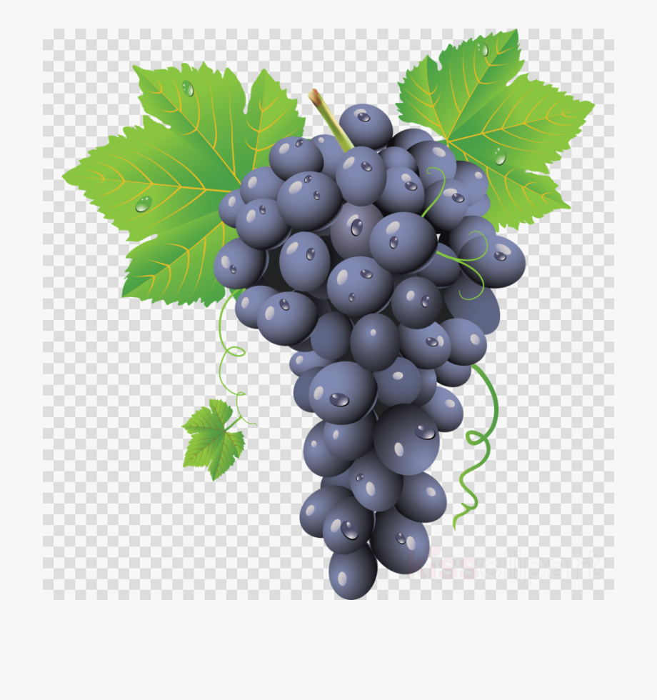 grapes clipart common fruit