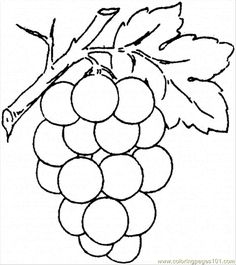 grapes clipart drawing