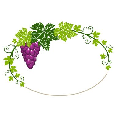 Grapevine clipart banner. Vector grapes leaves borders