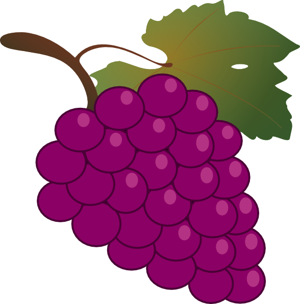 grapevine clipart vector