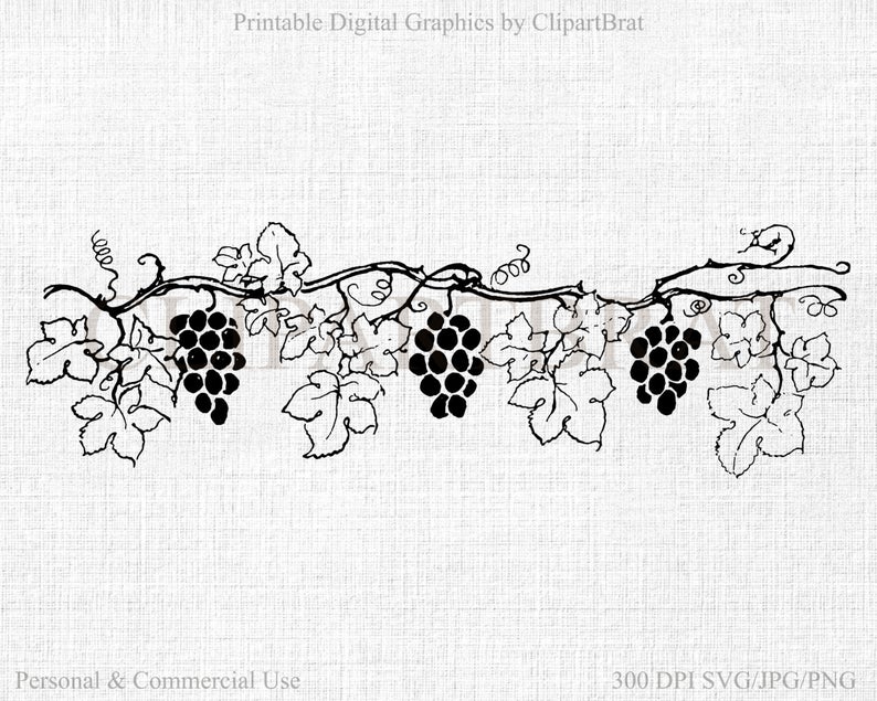 grapes clipart grape garden