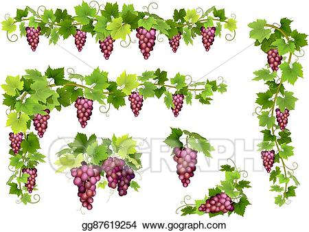 grapes clipart grape harvest