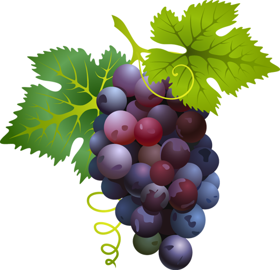 Grapes clipart green item, Grapes green item Transparent FREE for ...