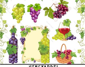 Etsy . Grapes clipart green item