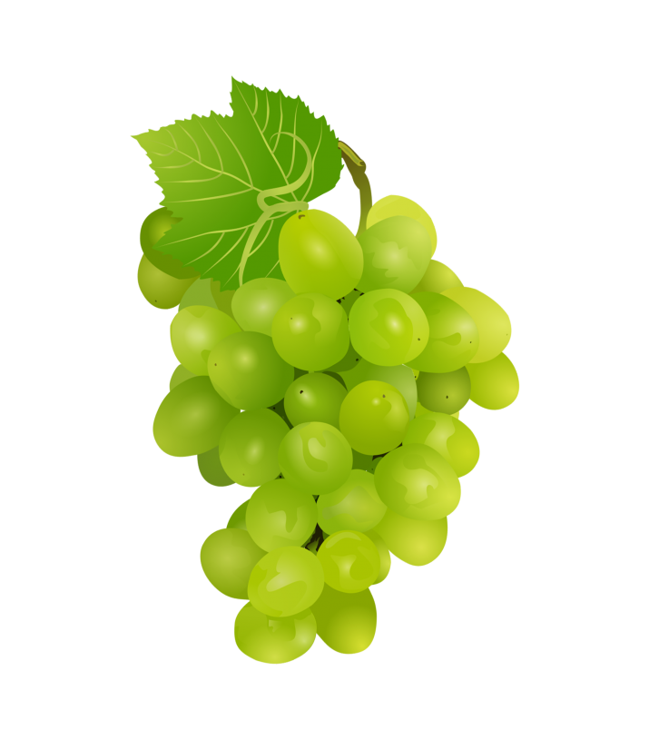 grapes clipart greps