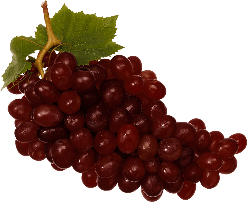 grapes clipart high quality