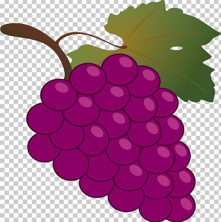 grapes clipart high re