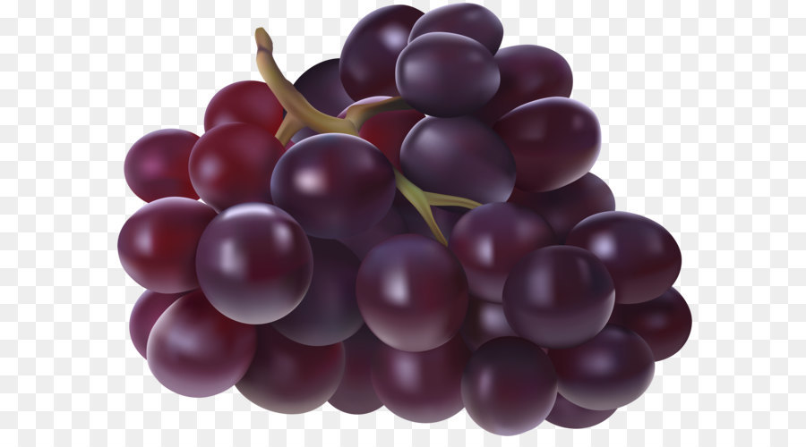 grapes clipart kind fruit