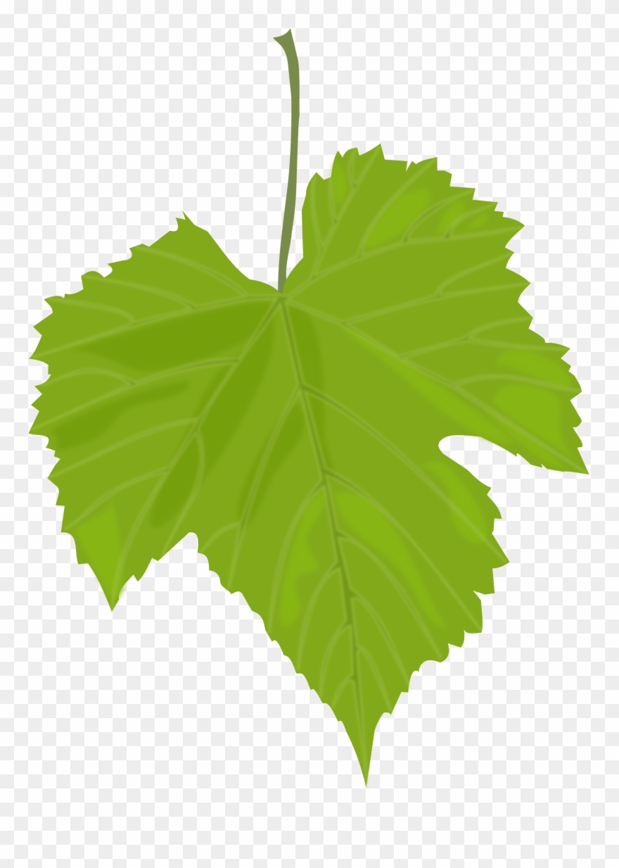grapes clipart leaves