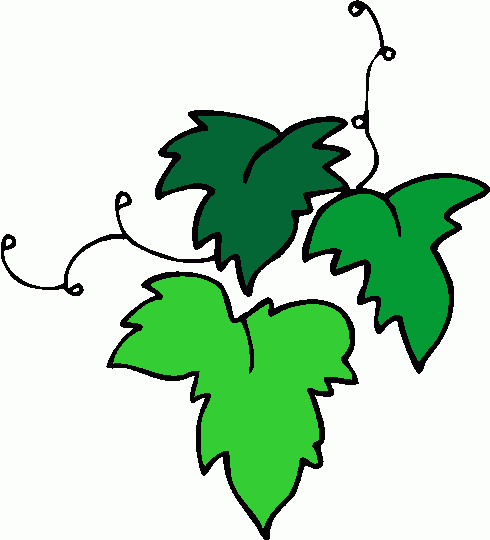 grapes clipart leaves