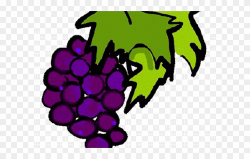 grapes clipart pop art