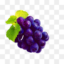 grapes clipart purple color