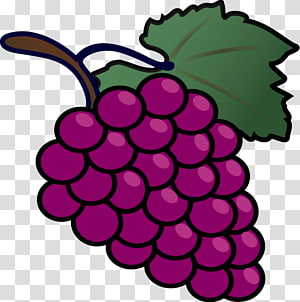 grapes clipart purple color