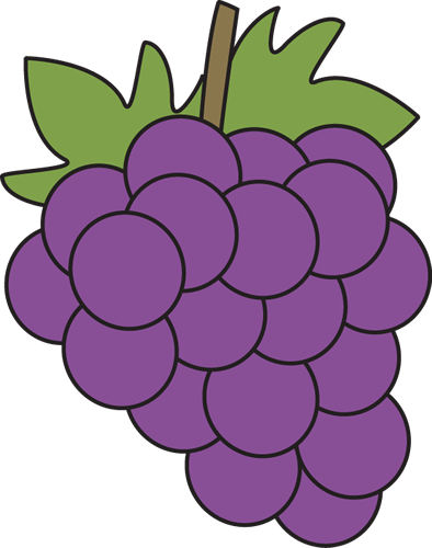 grapes clipart purple colour