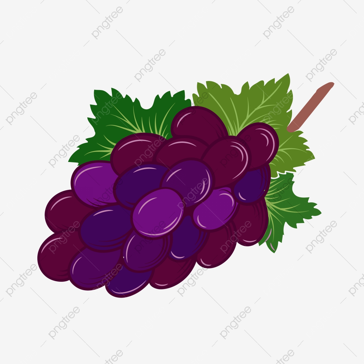 Grape fruit png transparent. Grapes clipart purple thing