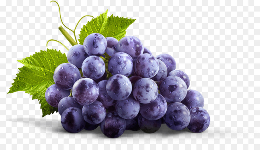 grapes clipart real purple