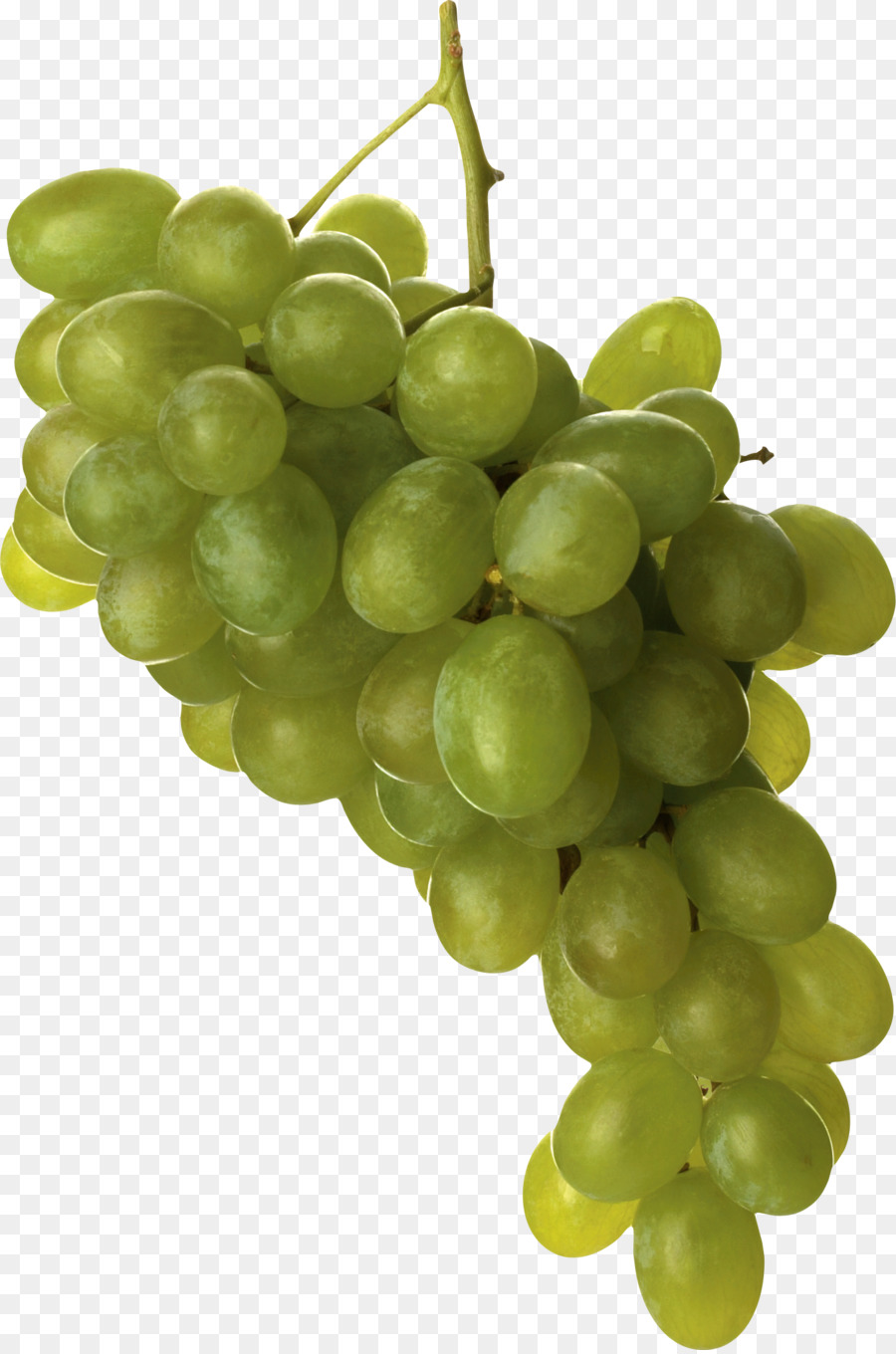 Grapes clipart seedless. Grape cartoon juice fruit