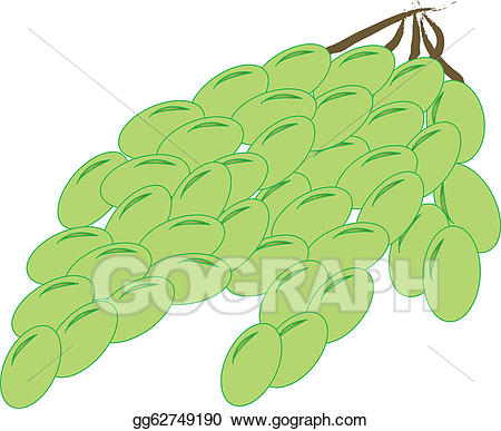 grapes clipart simple