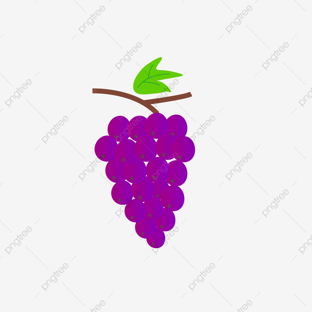 grapes clipart summer