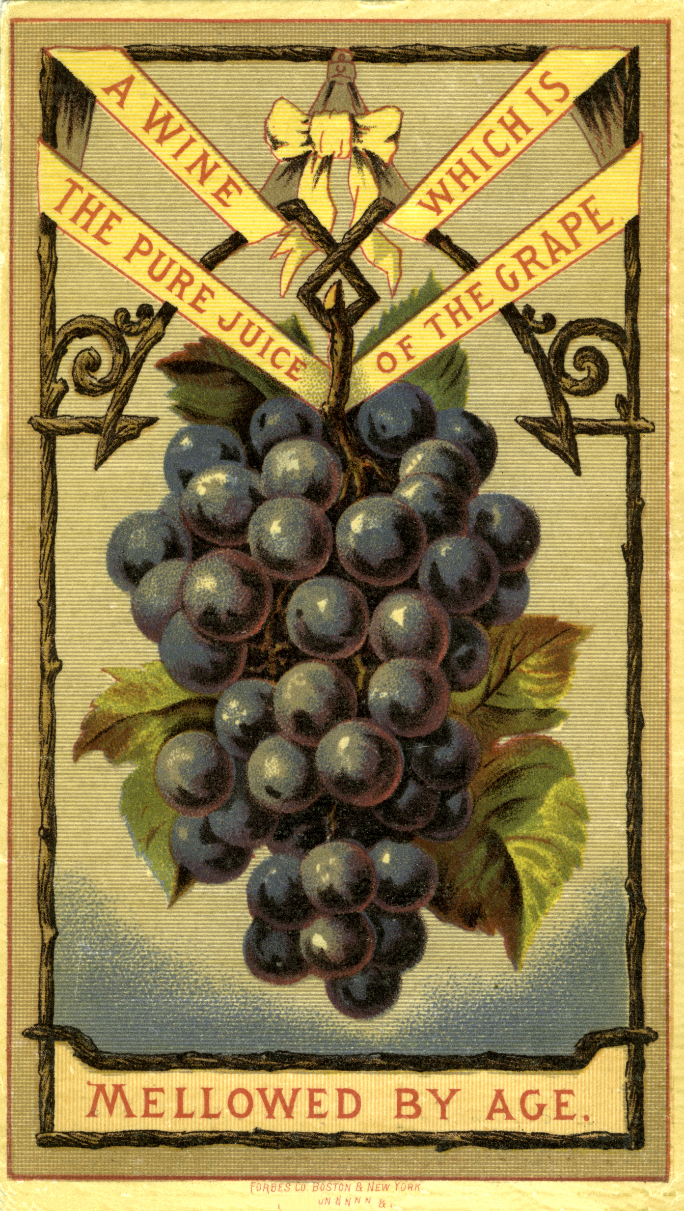 grapes clipart vintage