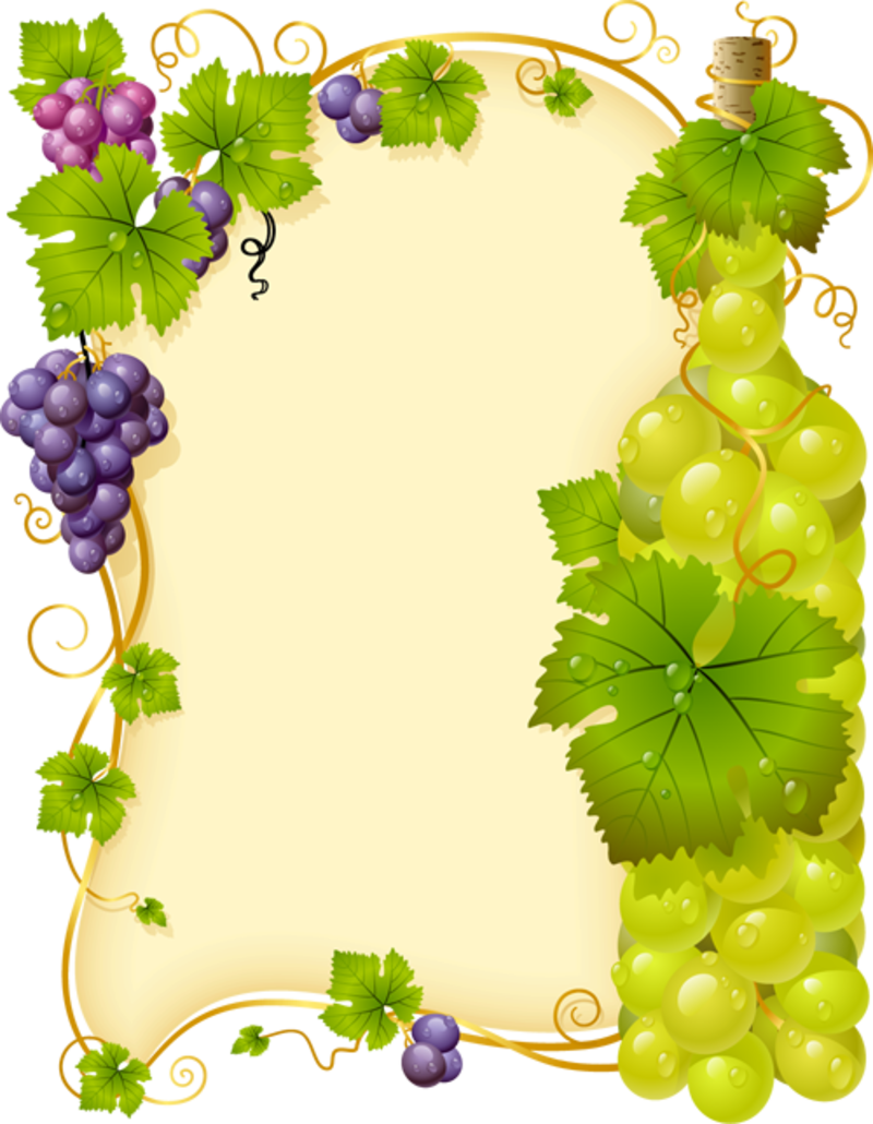 grapevine clipart banner