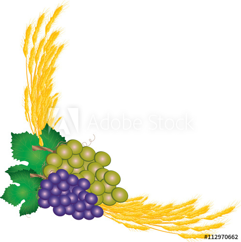 grape clipart wheat
