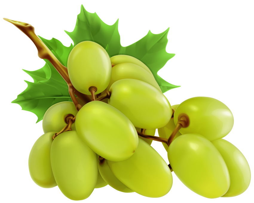 White grapes toppng transparent. Png images free