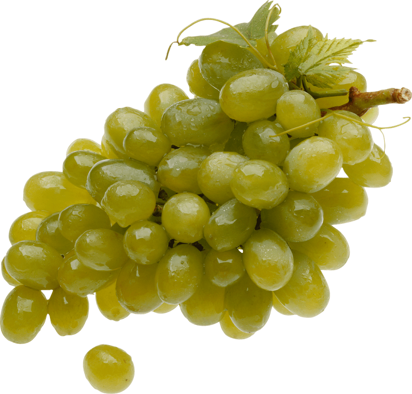 grapes clipart yellow